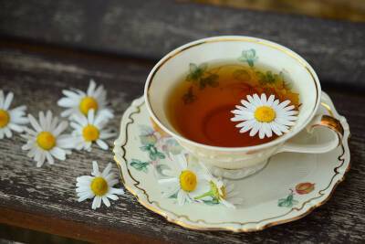 В Ростове отмечают международный День чая
