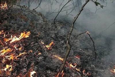 В Туапсинском районе Кубани ночью ликвидировали сильный пожар