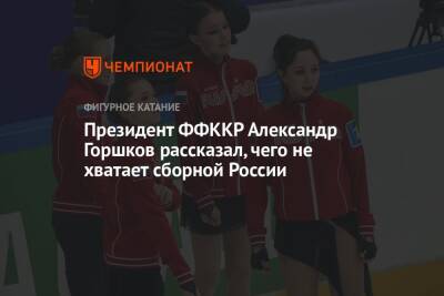 Президент ФФККР Александр Горшков рассказал, чего не хватает сборной России
