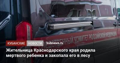 Жительница Краснодарского края родила мертвого ребенка и закопала его в лесу