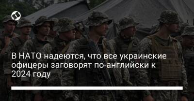 В НАТО надеются, что все украинские офицеры заговорят по-английски к 2024 году