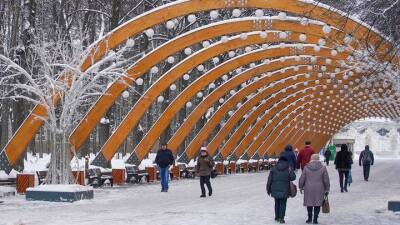Москвичам рассказали о зимней программе выставок в городских парках