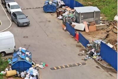 Регоператор рассказал о вывозе мусора из дворов в Мурино