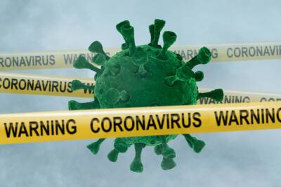 В Новгородской области коронавирусом заболели еще 192 человека