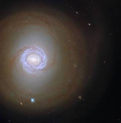 NASA Hubble запечатлел галактику в Печи: как она выглядит