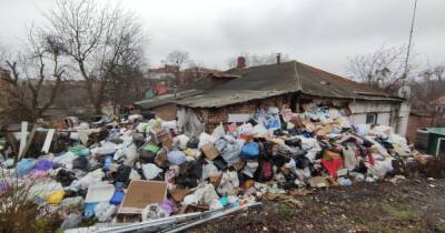 В Полтаве женщина до крыши завалила дом мусором: соседи жалуются на крыс (видео)