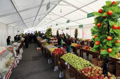 В Баку и на Абшероне откроются новогодние сельскохозяйственные ярмарки