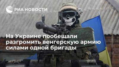 Жебривский заявил, что Украина способна уничтожить армию Венгрии силами одной бригады ВСУ