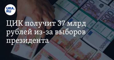 ЦИК получит 37 млрд рублей из-за выборов президента