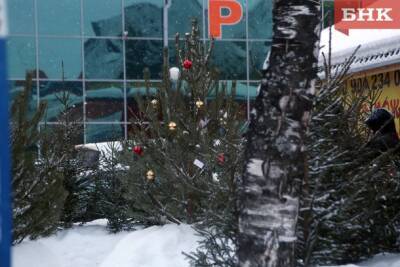 Где в Сыктывкаре купить елку к Новому году