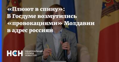 «Плюют в спину»: В Госдуме возмутились «провокациями» Молдавии в адрес россиян