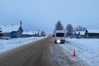 В деревне Тверской области микроавтобус сбил 11-летнюю девочку