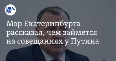 Мэр Екатеринбурга рассказал, чем займется на совещаниях у Путина
