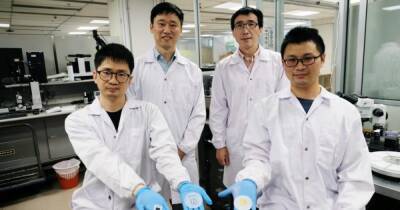 Разлагаются после разрядки: в Сингапуре создали гибкие батареи из бумаги