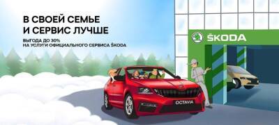 Зимнее предложение на сервис от ŠKODA и МС Моторс Збово с выгодой до 30%