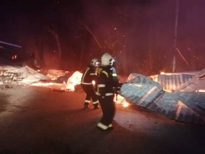 Опубликованы фото и видео со страшного пожара, уничтожившего известное туристическое место в Сочи