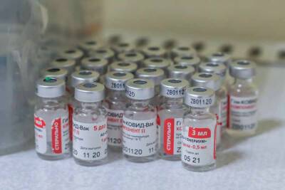 Российскую вакцину «Спутник V» модифицировали под штамм «омикрон»