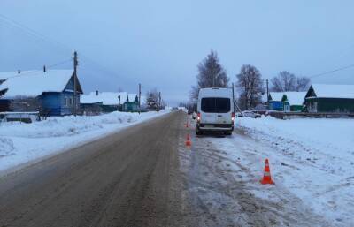 11-летнюю девочку сбил фургон в Тверской области
