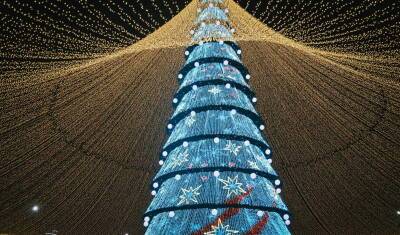 Главная ёлка Тюмени откроется 25 декабря с фейерверком