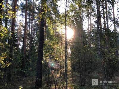Проект «Сохранение лесов» стал темой обсуждения в Законодательном Собрании Нижегородской области