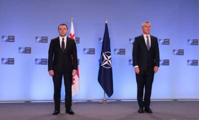 Премьеру Грузии не терпится вступить в НАТО