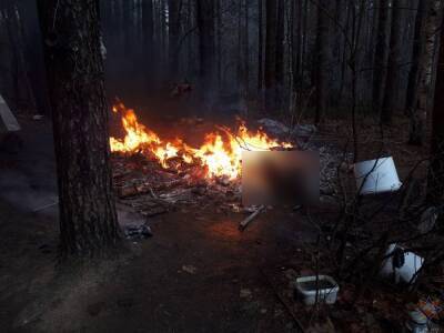 В Гродненском районе загорелся лесной шалаш: в результате пожара погибла женщина