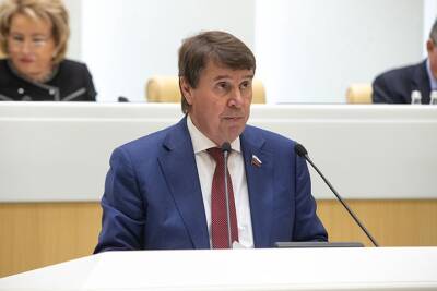 Сенатор назвал реалистами страны, выступившие против санкций в отношении России