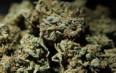 Мальта легализовала марихуану. На очереди Германия