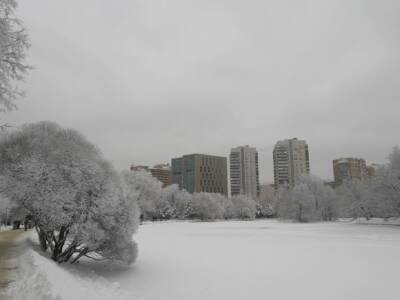 «Фобос»: Предстоящая неделя может стать самой морозной в Москве с начала зимы