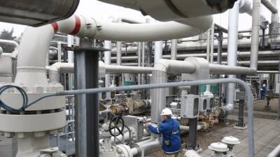 Аналитик Митрахович прокомментировал ситуацию с газом в хранилищах Европы
