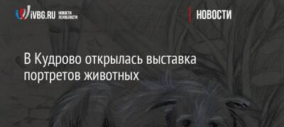 В Кудрово открылась выставка портретов животных