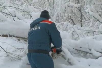 Спасатели признались, сколько детей сидят без света в Новгородской области