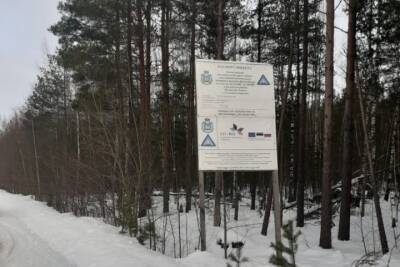 3 км дороги Гверстонь — Крупп — Кулье отремонтировали в Псковской области