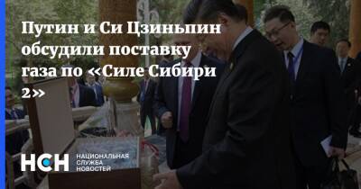 Путин и Си Цзиньпин обсудили поставку газа по «Силе Сибири 2»