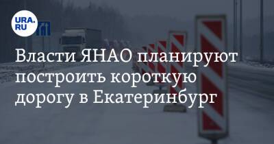Власти ЯНАО планируют построить короткую дорогу в Екатеринбург