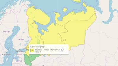 В Петербурге продлили «желтый» уровень погодной опасности из-за густого тумана