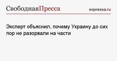 Игорь Шишкин - Эксперт объяснил, почему Украину до сих пор не разорвали на части - svpressa.ru - Россия - Украина - Румыния - Венгрия - Польша - Одесса