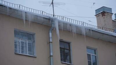 Жительница Петербурга намерена подать в суд после падения на нее наледи с крыши