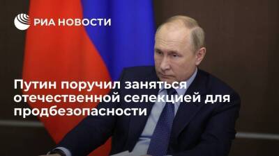 Путин поручил правительству разработать меры поддержки селекции для продбезопасности