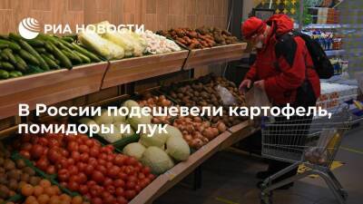 Росстат: в России с 7 по 13 декабря картофель, помидоры и лук продолжили дешеветь