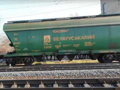 В Литве руководителя железнодорожной компании отправили в отставку из-за транзита удобрений из Беларуси