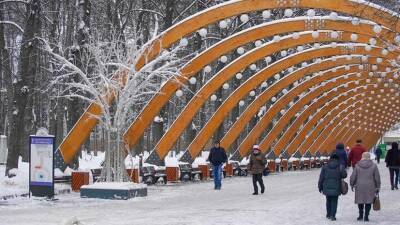 В парках Москвы подготовили зимнюю программу выставок
