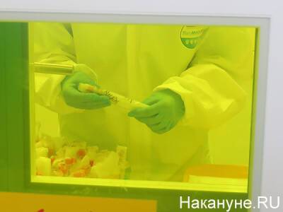 В Центре Гамалеи рассказали детали разработки химиотерапии от коронавируса