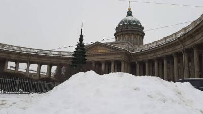 Петербуржцы предложили местным чиновникам самостоятельно убирать снег с городских улиц