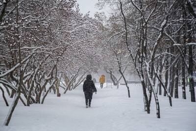 Небольшое потепление, гололедица и порывистый ветер – погода в Красноярске 16 декабря
