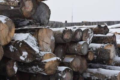 В Бурятии вводятся новые правила хранения древесины