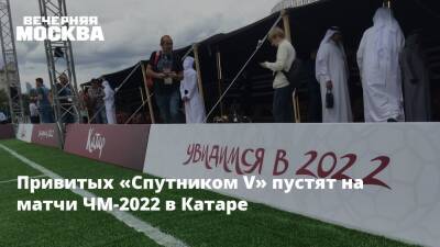 Привитых «Спутником V» пустят на матчи ЧМ-2022 в Катаре - vm.ru - Катар