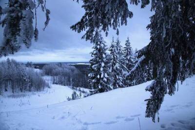 Архангельская область: 16 декабря снова будет тепло и снежно