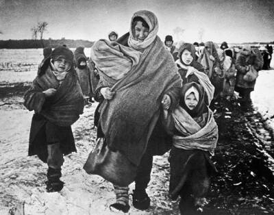 Беженцы из блокадного Ленинграда: что с ними делали немецкие солдаты - Русская семерка