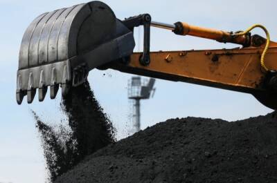 Десять административных дел возбуждены из-за нарушений при перевалке угля в порту Посьет в Приморье